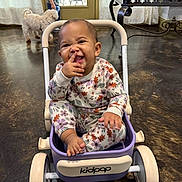 Shyloh is registered to the contest to win money with this photo: baby, child, toddler, toy_stroller, indoor, floor, dog, boy, furniture, curtains, door, pajamas, smile, playful, person, happy, face, foot, hand, pet