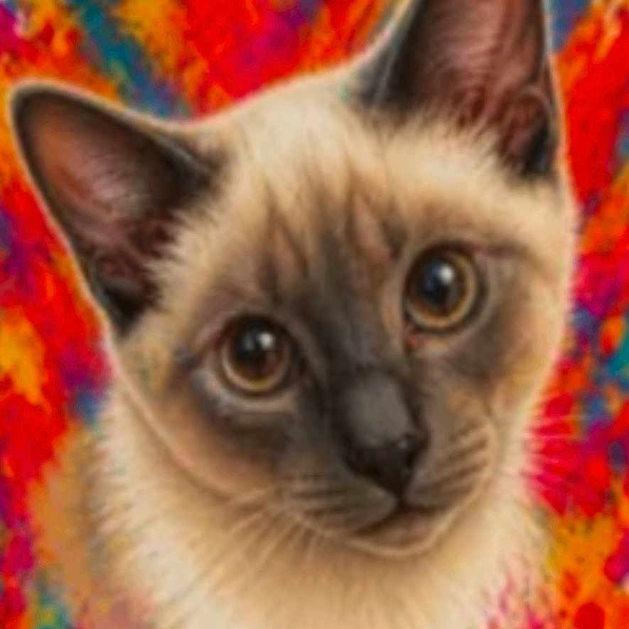 Smokey joined the competition — help win amazing prizes! cat, siamese_cat, portrait, colorful_background, paint_splatter, artistic, closeup, animal_face, digital_art, screenshot, phone_screen, vibrant_colors, orange, blue, red, pink, yellow, fur, whiskers, ears