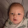 baby, infant, child, portrait, face, eyes, wide_eyed, looking_at_camera, sitting, onesie, dinosaur, clothing, plaid, bedding, indoors, home, close_up, head, cute, photograph
