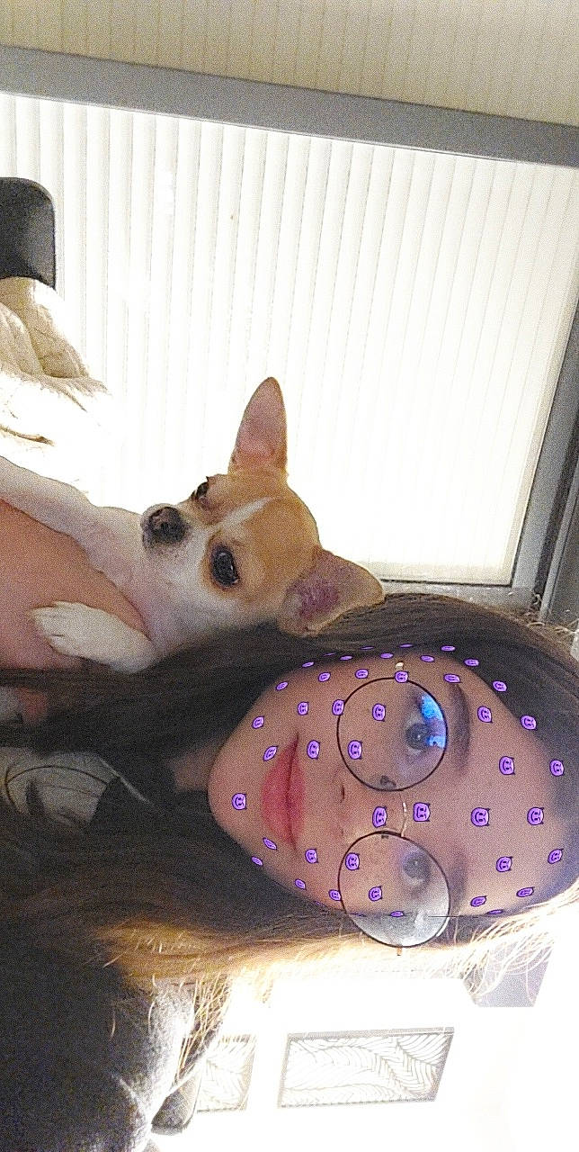 Pakita a rejoint le concours — aidez-le/la à gagner de superbes lots ! canidae, carnivore, cat, cat_bed, cat_supply, comfort, companion_dog, cone, dog_breed, fashion_accessory, fawn, felidae, fur, paw, personal_protective_equipment, saving, small_to_medium_sized_cats, snout, tail, whiskers