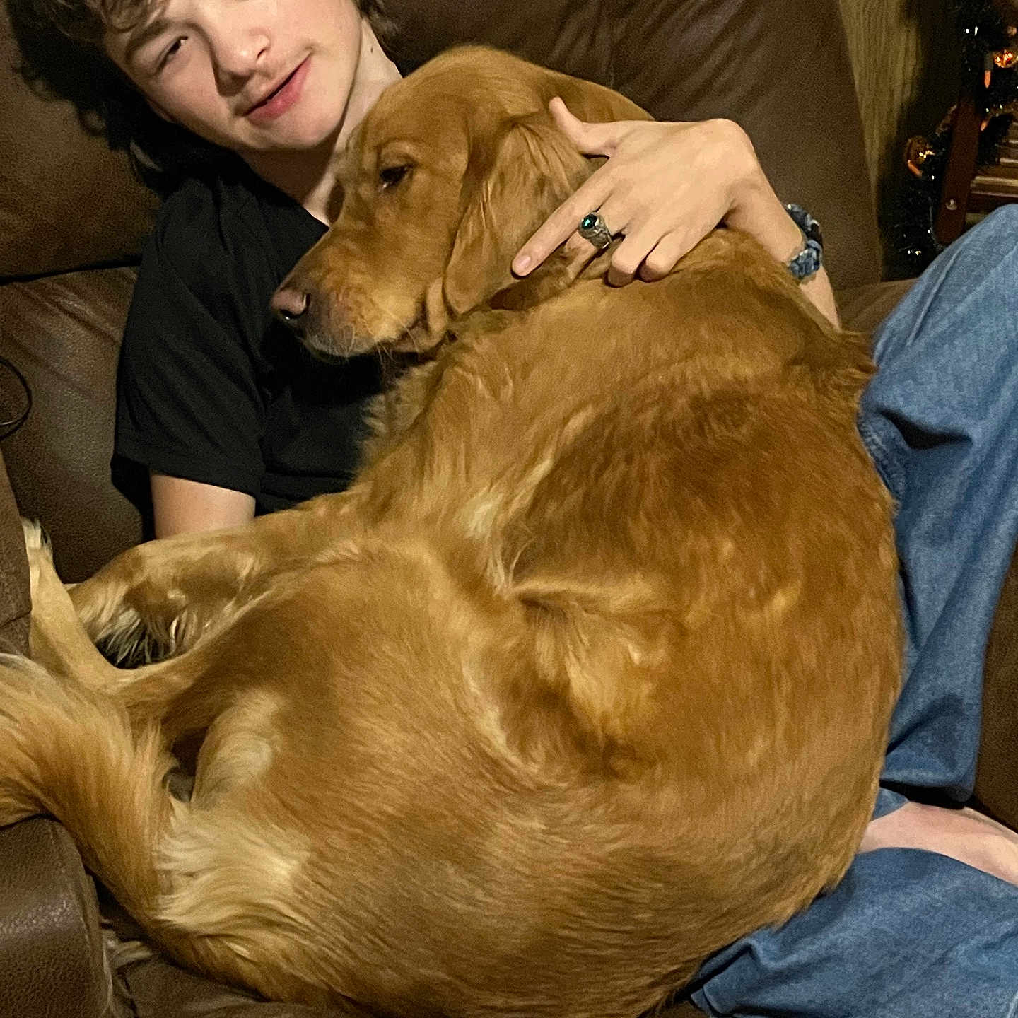 Lilly is registered to the contest to win money with this photo: person, dog, golden_retriever, couch, indoor, brown_leather, relaxed, cuddling, pet, friendship, cozy, casual_clothing, jeans, ring, watch, fur, happy, seated, living_room, comfort