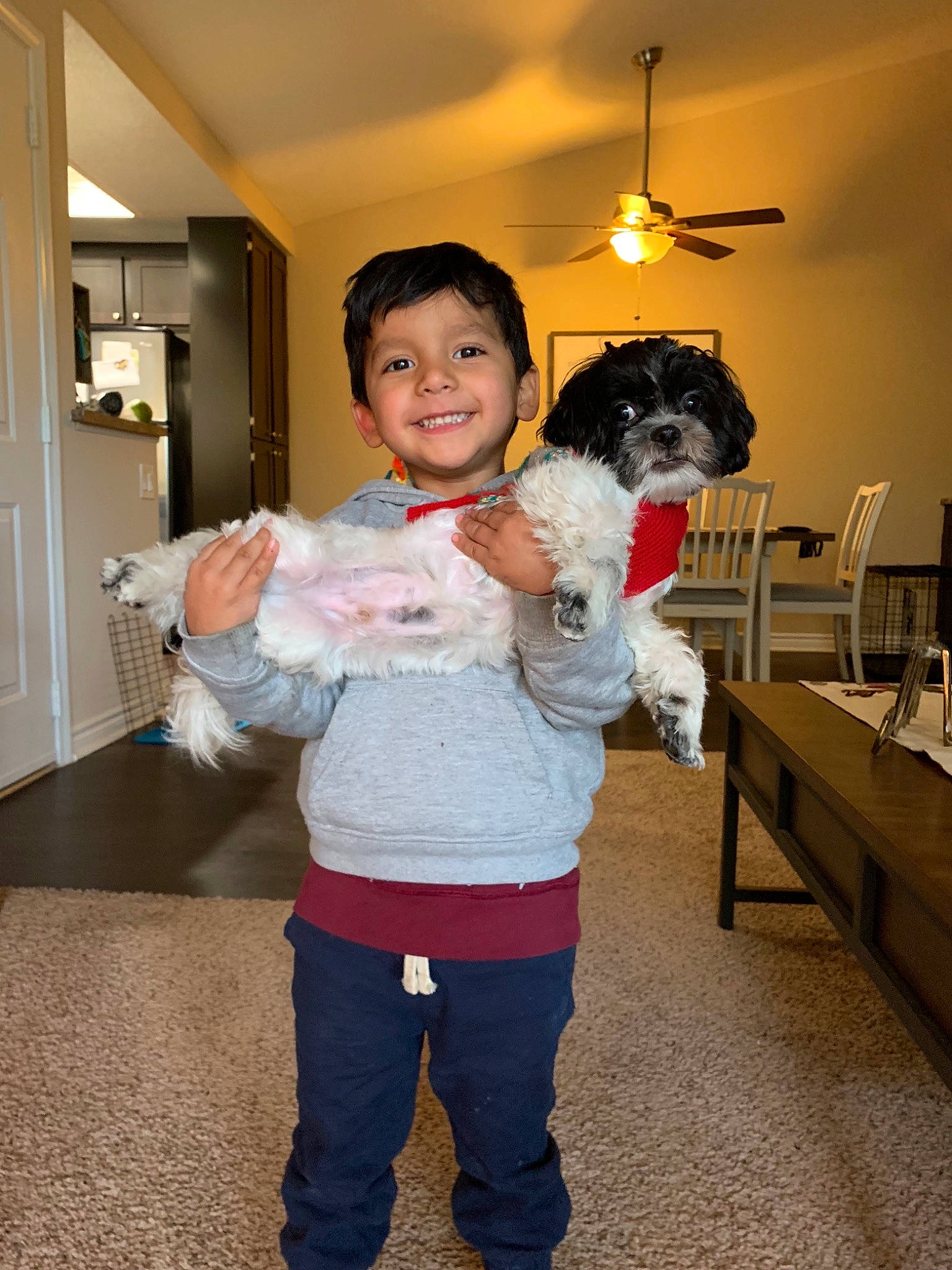 Bacon joined the competition — help win amazing prizes! carnivoran, child, costume, dog, dog_like_mammal, fun, girl, interaction, joy, mammal, person, product, skin, smile, toddler, vertebrate