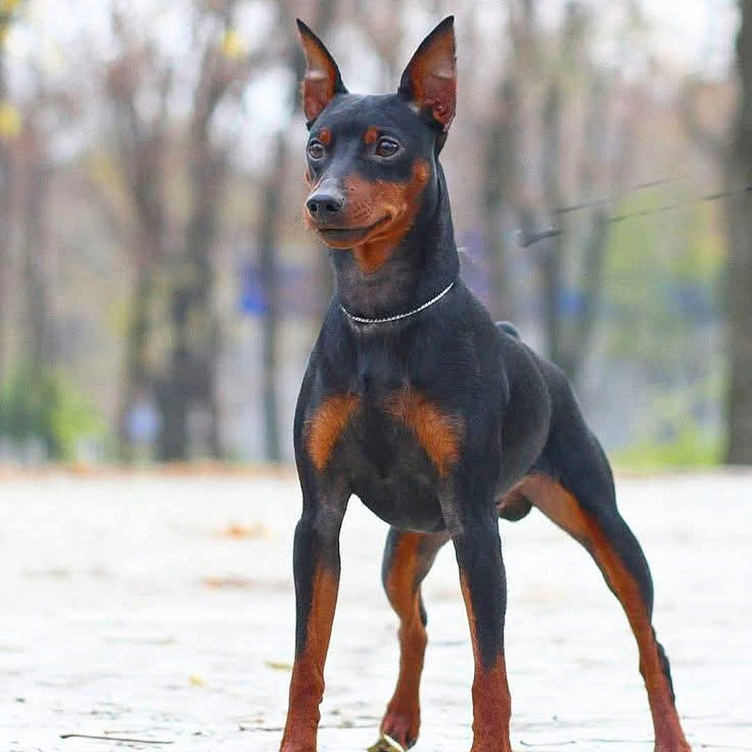 Zoe