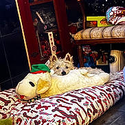 Zero is registered to the contest to win money with this photo: dog, plush_toy, dog_bed, christmas_hat, toy, indoor, floor, furniture, cabinet, chair, patterned_textile, cute, pet, resting, cozy, stuffed_animal, holiday, decor, relaxing, small_dog