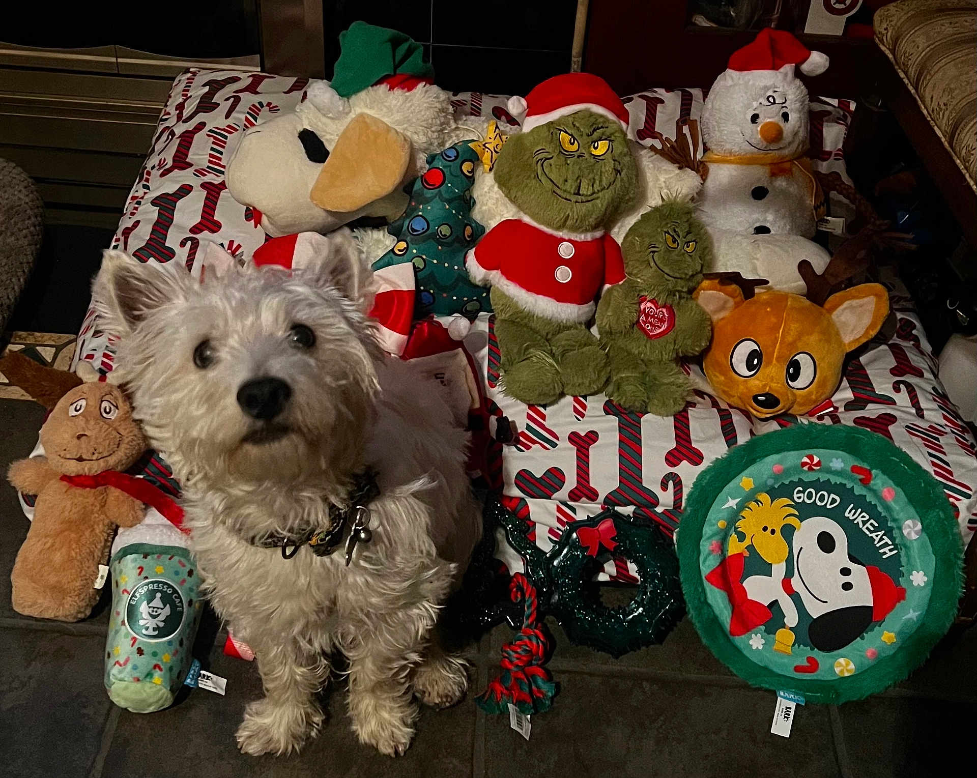 Zero joined the competition — help win amazing prizes! dog, plush_toy, holiday, christmas, grinch, snowman, reindeer, snoopy, wreath, blanket, floor, indoor, festive, pet, white_dog, stuffed_animal, toy, decor, cute, holiday_season