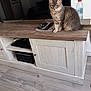 cat, gray_cat, furniture, tv, remote_control, water_bottle, wooden_cabinet, floor, living_room, indoor, pet, animal, sitting, fur, ears, tail, eyes, tabletop, modern, relaxation