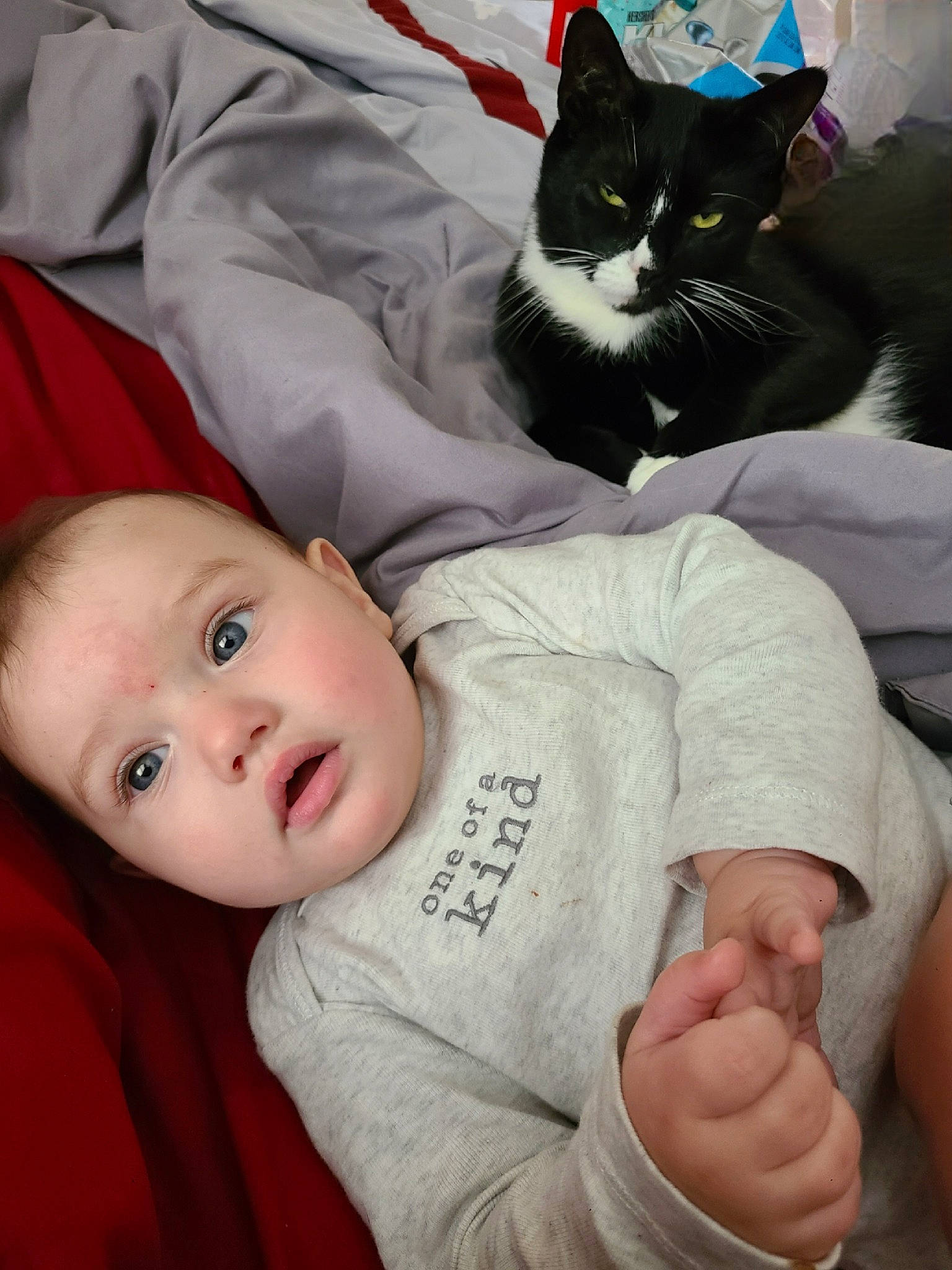 Samuel joined the competition — help win amazing prizes! baby_toddler_clothing, carnivore, cat, cheek, comfort, eye, felidae, finger, gesture, hand, head, mammal, organ, person, product, skin, sleeve, small_to_medium_sized_cats, textile, vertebrate