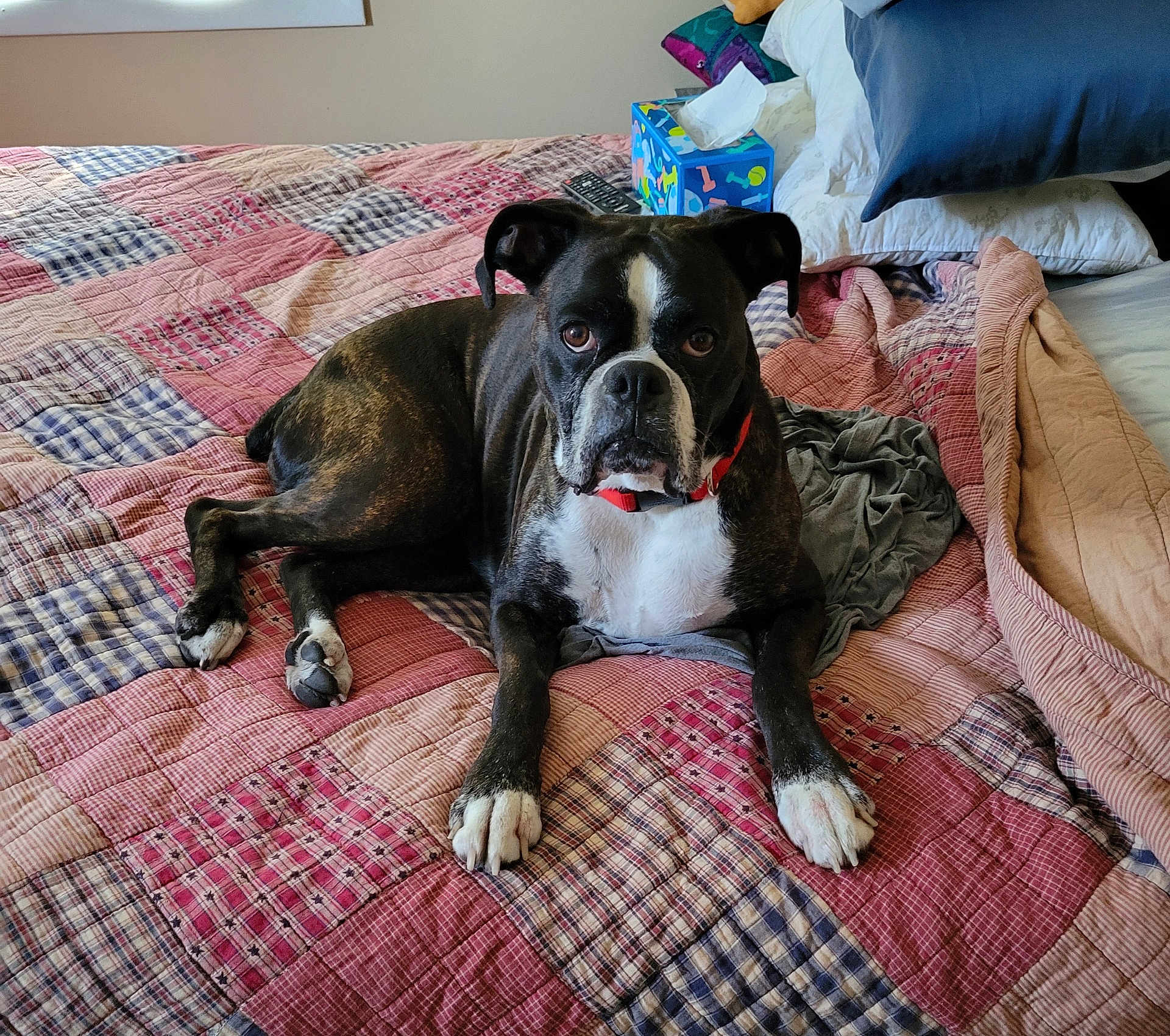 Lucy