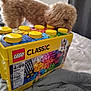 Graham is registered to the contest to win money with this photo: dog, lego, lego_classic, toy_box, curious, bed, blanket, indoor, soft_texture, yellow, brown_dog, curly_fur, pet, playful, container, close_up, colorful, plastic, background, furniture