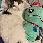 Tikki joined the competition — help win amazing prizes! animal, bed, bedspread, cat, colorful, companion, cozy, cuddling, cute, fluffy, gray, indoor, pet, plush_doll, relaxed, resting, soft, stuffed_toy, toy, white