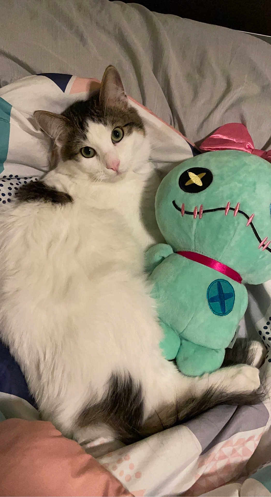 Tikki