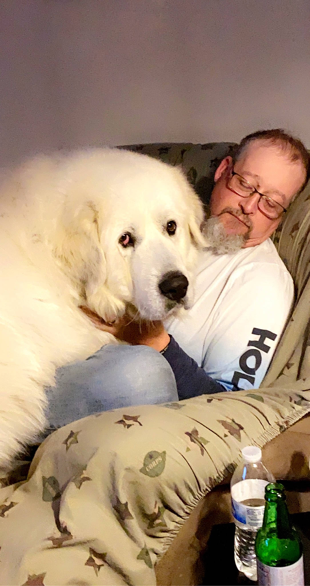 Colorado is registered to the contest to win money with this photo: akbash_dog, canidae, carnivore, comfort, companion_dog, dog, dog_breed, fun, fur, glasses, great_pyrenees, kuvasz, livestock_guardian_dog, maremma_sheepdog, non_sporting_group, polish_tatra_sheepdog, sitting, slovak_cuvac, snout, sporting_group