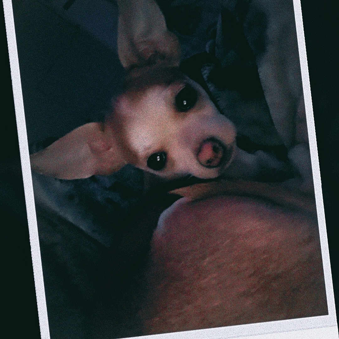 Tiny