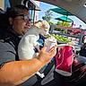 dog, small_dog, white_dog, person, woman, glasses, car, car_interior, passenger, lap_dog, pet, whipped_cream, dessert, cup, hand, sunglasses, outdoor, sunny, umbrella, bag