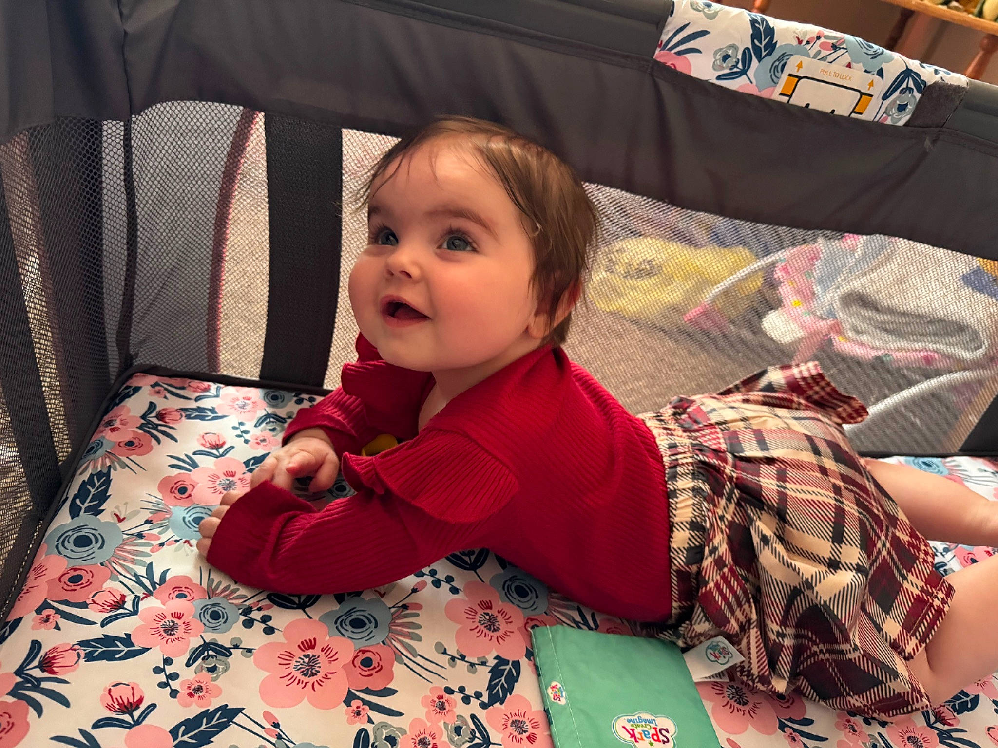 Oakley is registered to the contest to win money with this photo: baby, baby_toddler_clothing, cheek, child, comfort, couch, fun, hairstyle, lap, linens, mammal, pattern, person, plaid, product, room, sitting, skin, sleeve, toddler