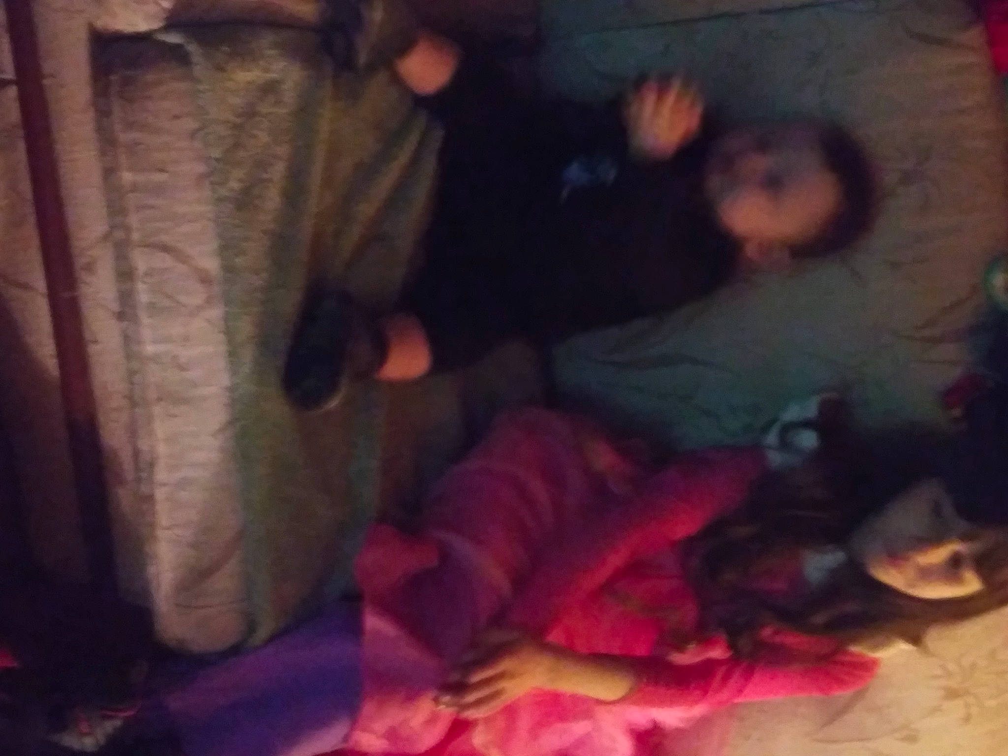 Dani joined the competition — help win amazing prizes! carmine, child, cloud, darkness, event, flesh, fun, fur, human_leg, linens, magenta, mouth, night, person, petal, plant, room, sky, tints_and_shades, toy