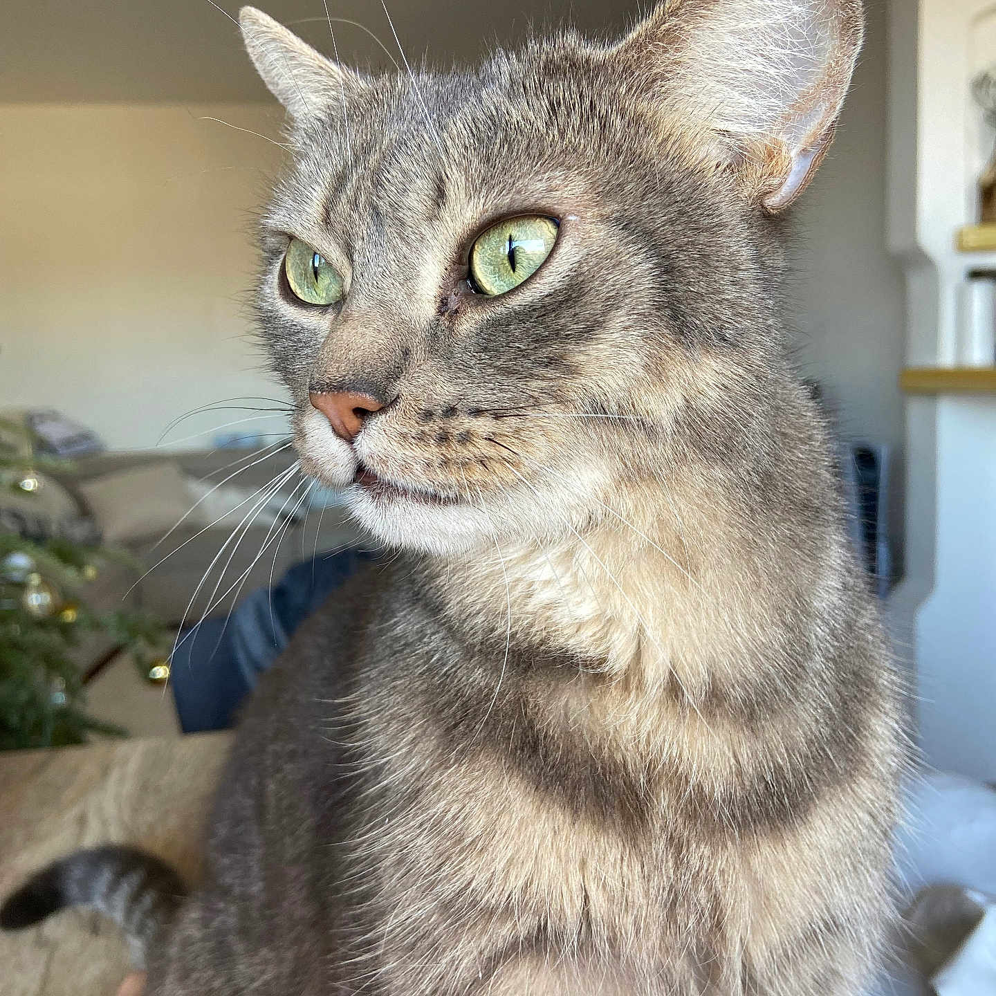 Pumba