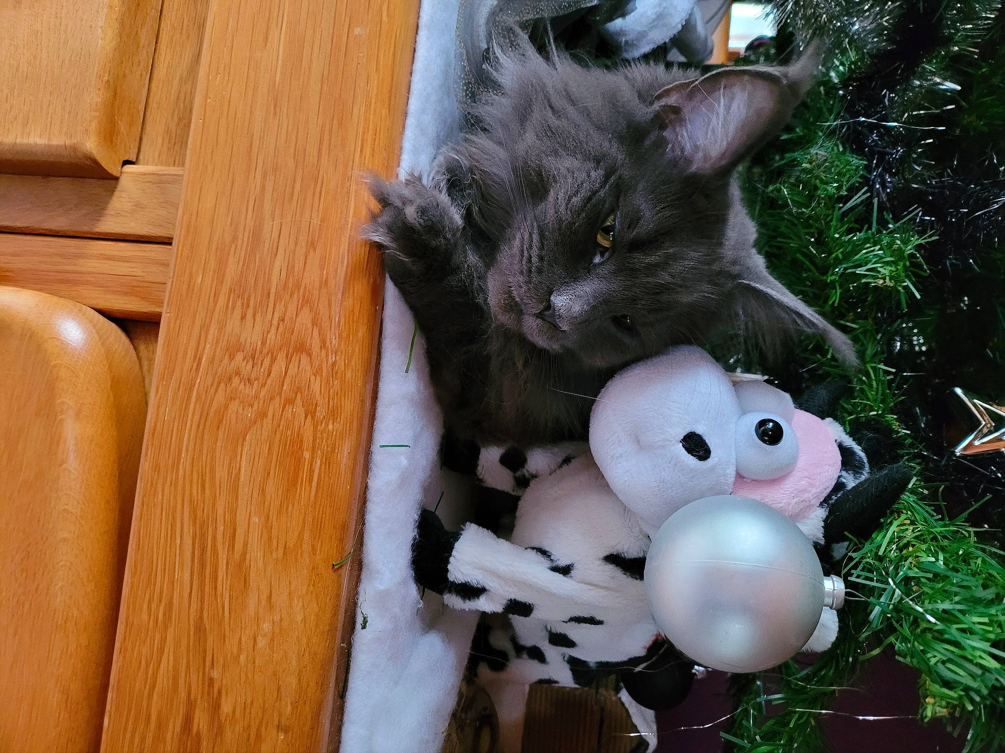 R'Mione a rejoint le concours — aidez-le/la à gagner de superbes lots ! black_cat, cat, domestic_short_haired_cat, felidae, fur, grass, hardwood, mammal, paw, plank, plant, plush, small_to_medium_sized_cats, stuffed_toy, tail, toy, varnish, whiskers, wood, wood_stain