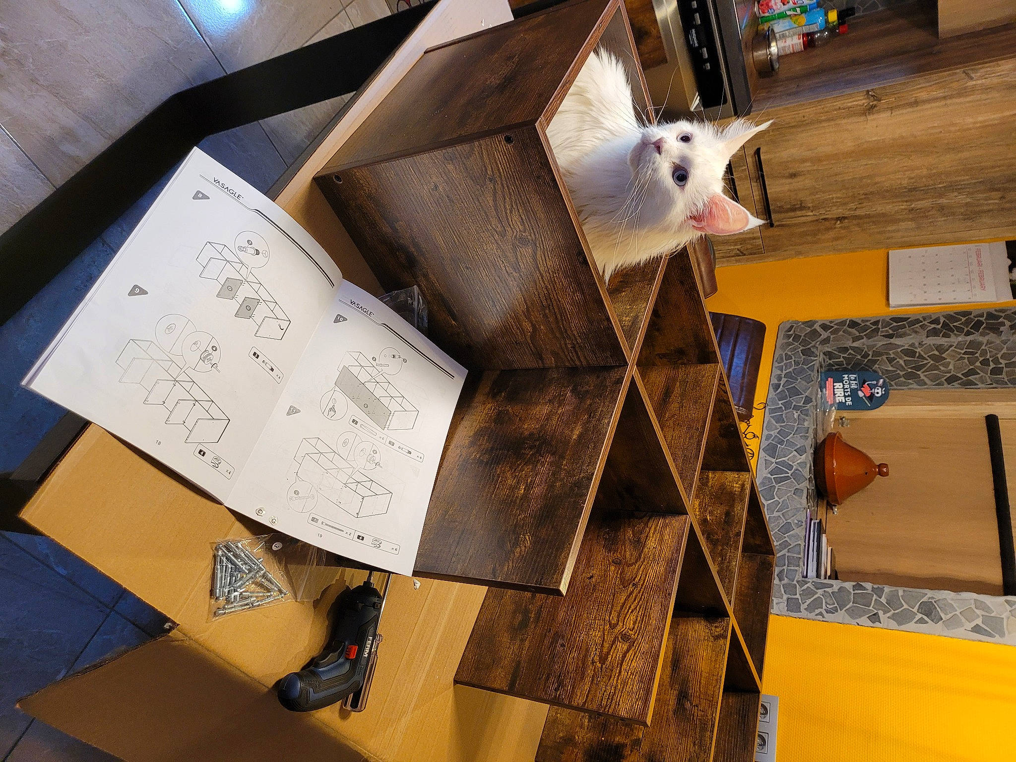 Penny Lane participe au concours pour gagner de l'argent avec cette photo : bookcase, box, cardboard, carton, felidae, flooring, font, hardwood, packaging_and_labeling, paper, paper_product, plywood, shelf, shelving, shipping_box, space, toy, visual_arts, whiskers, wood