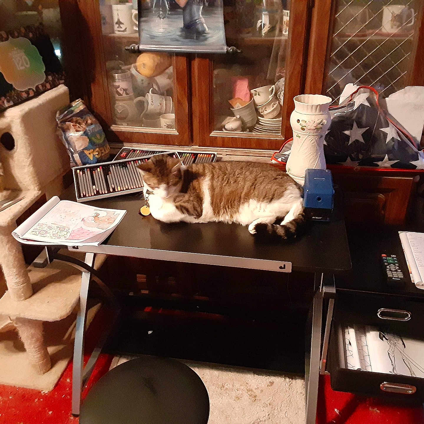 Spring is registered to the contest to win money with this photo: accessories, animal, architecture, bag, book, building, cat, computer, cup, desk, electronics, furniture, handbag, indoors, livingroom, pen, pet, publication, remotecontrol, table