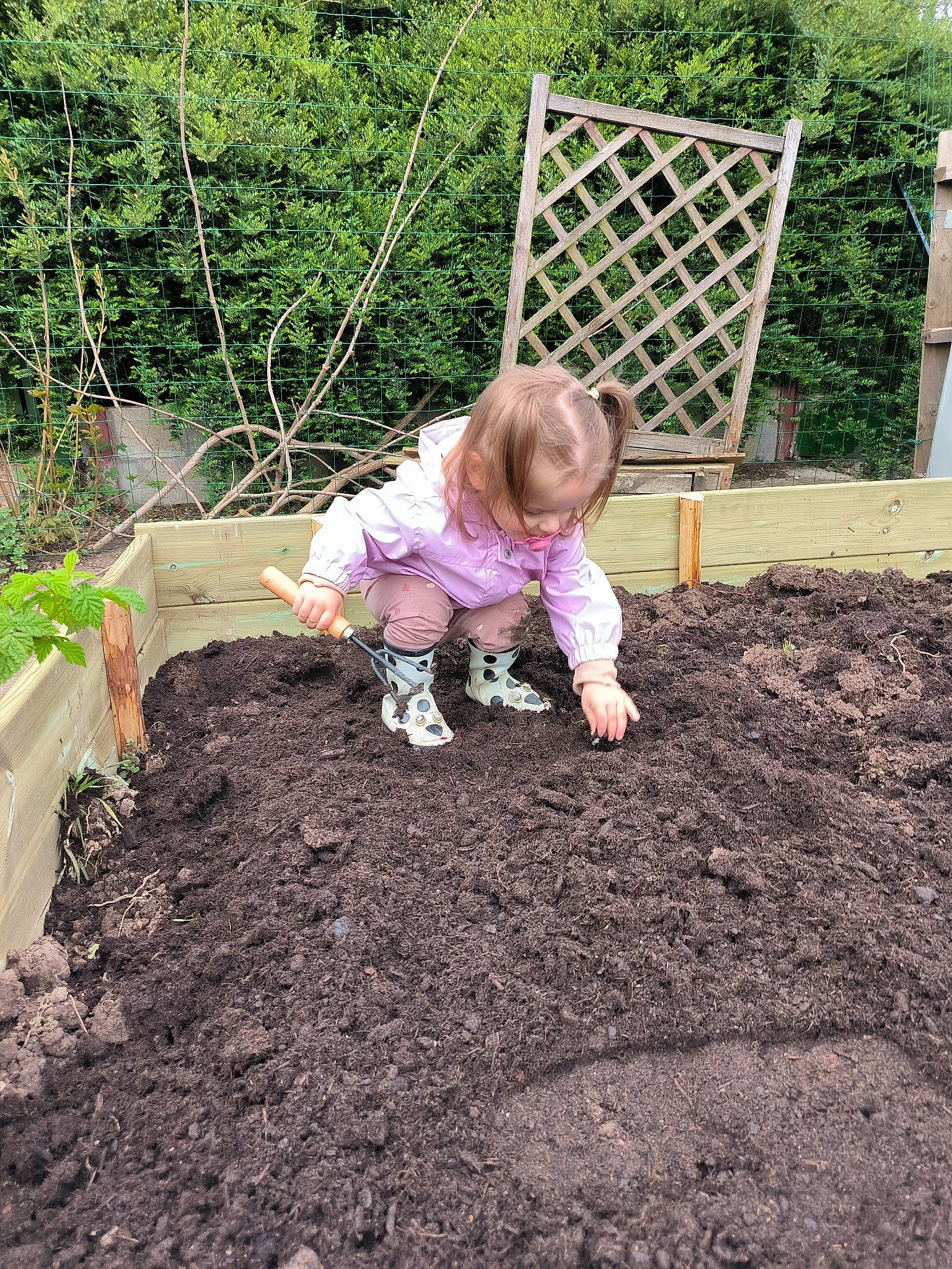 Léanna a rejoint le concours — aidez-le/la à gagner de superbes lots ! annual_plant, baby_toddler_clothing, backyard, botany, child, compost, garden, gardening, grass, groundcover, herb, landscape, people_in_nature, person, plant, plantation, play, soil, toddler, tree