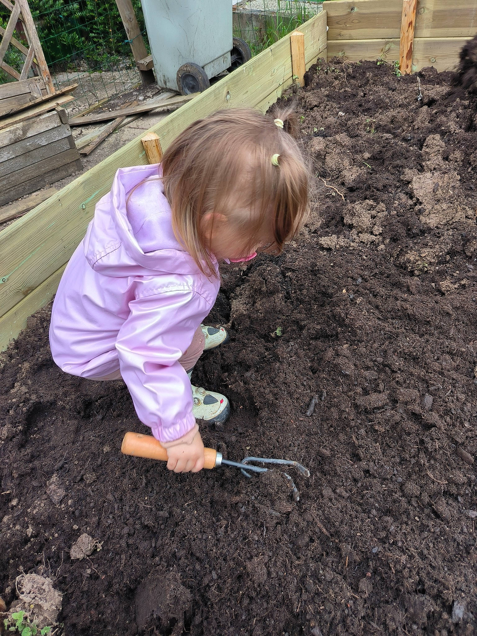 Léanna a rejoint le concours — aidez-le/la à gagner de superbes lots ! annual_plant, arbor_day, asphalt, child, compost, concrete, fence, garden, gardening, grass, groundcover, landscape, people_in_nature, person, plant, plantation, play, soil, toddler, wood