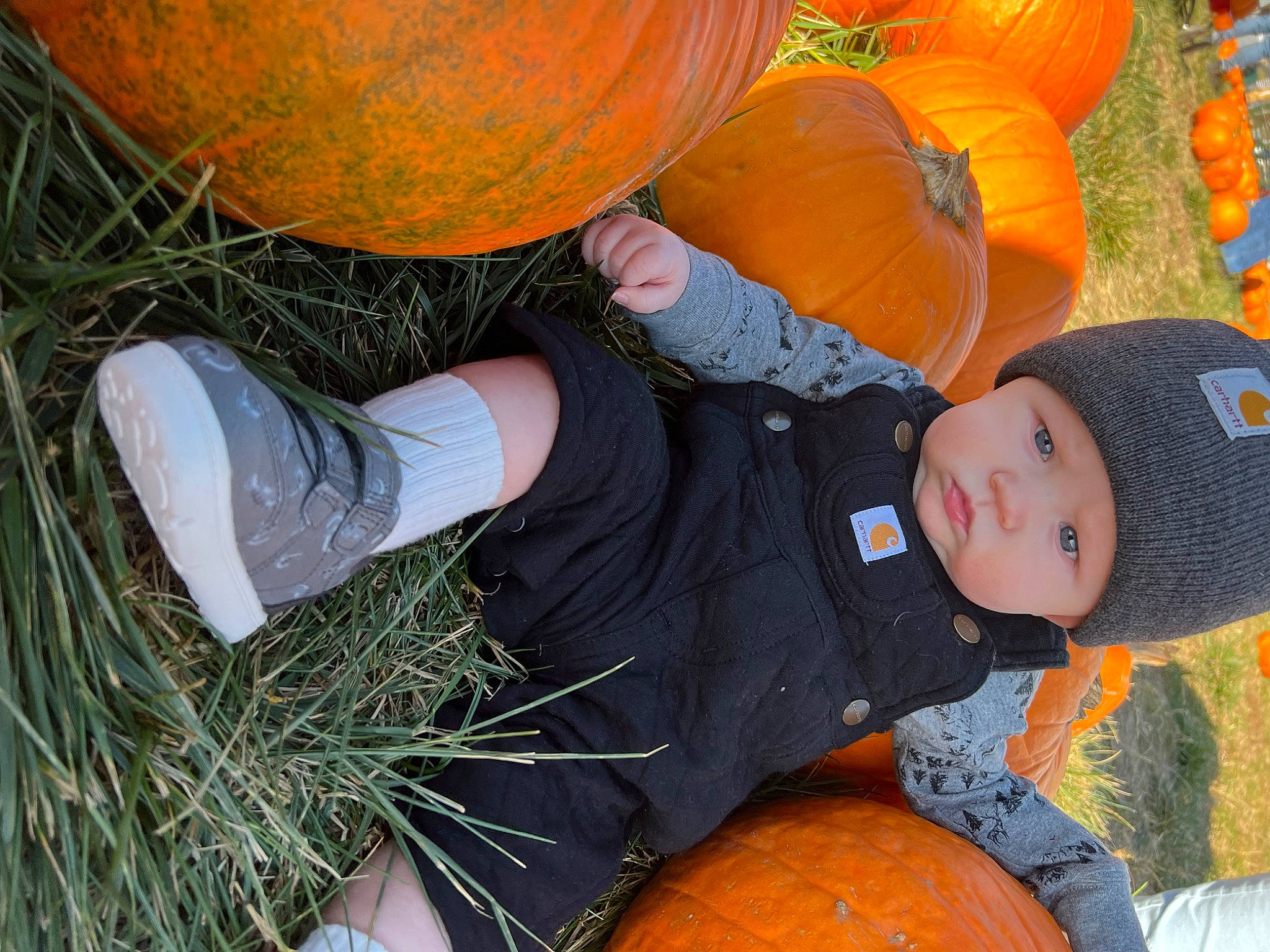 Ezra joined the competition — help win amazing prizes! arm, calabaza, cucurbita, fruit, fun, gourd, grass, happy, hat, headwear, human_body, natural_foods, orange, people_in_nature, person, plant, pumpkin, squash, tree, vegetable