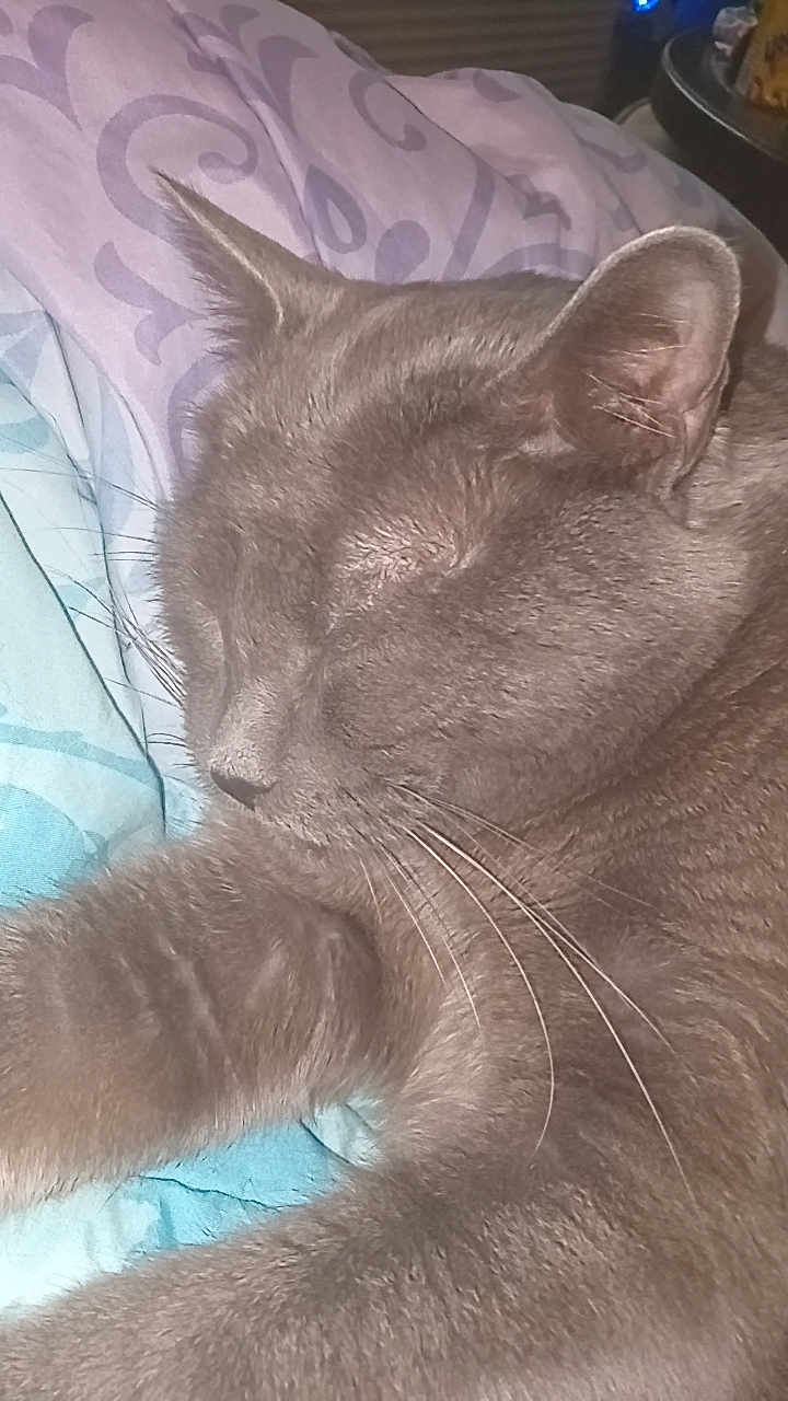 Jackson