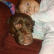 Brown joined the competition — help win amazing prizes! child, dog, brown_dog, couch, blanket, indoor, resting, cozy, affectionate, pet, furniture, young_child, casual_clothing, closeup, portrait, comfort, relaxation, bond, head_resting, warmth