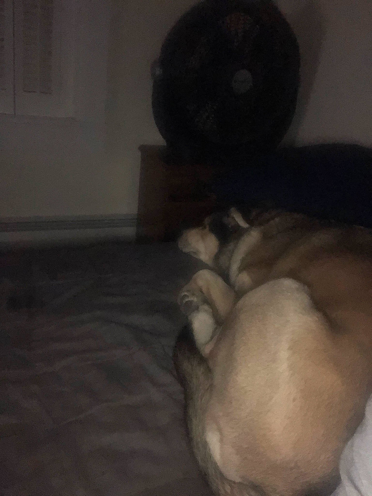 Reyia is registered to the contest to win money with this photo: child, fawn, head, muscle, room