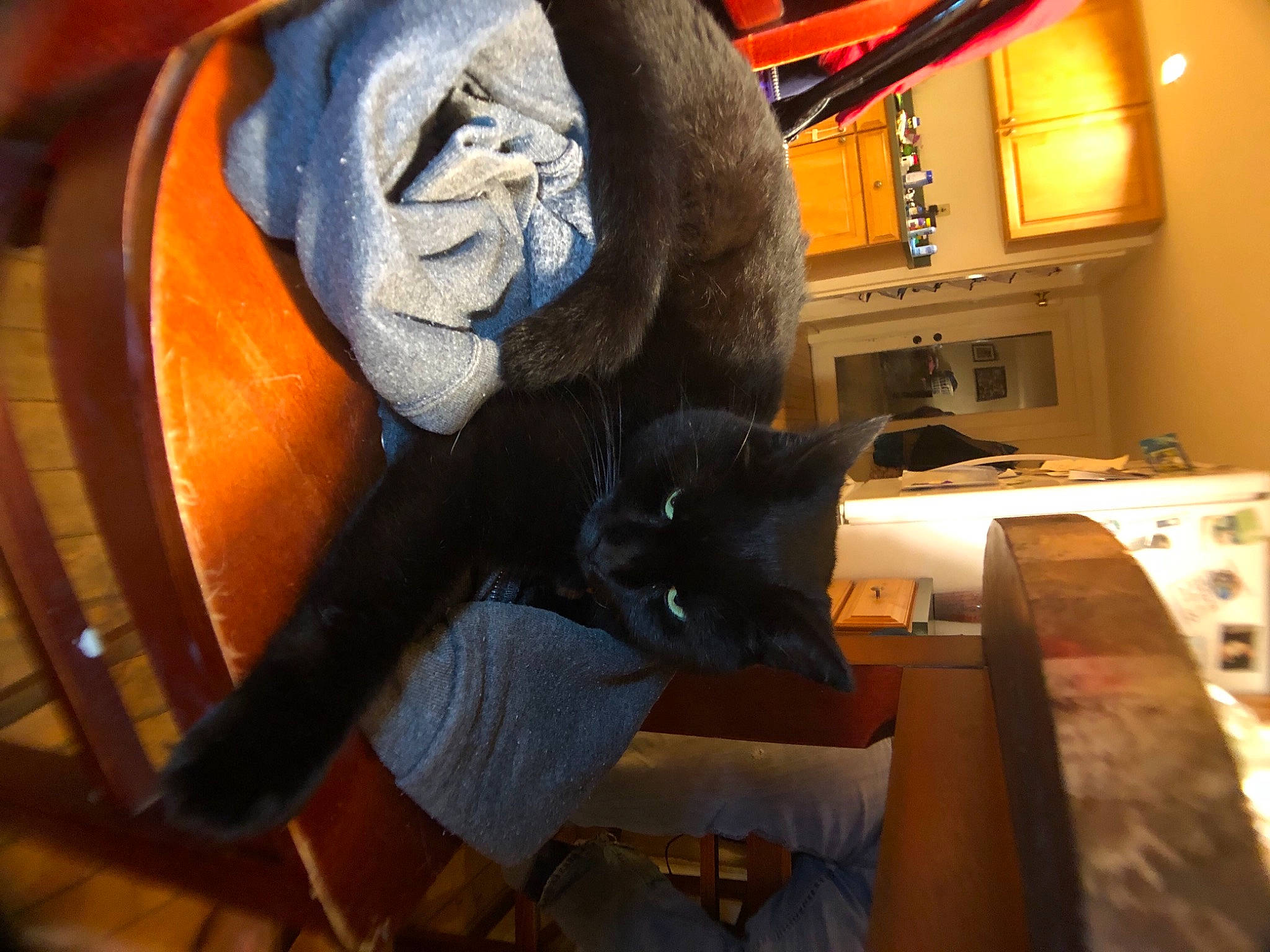 Ebony is registered to the contest to win money with this photo: art, sculpture