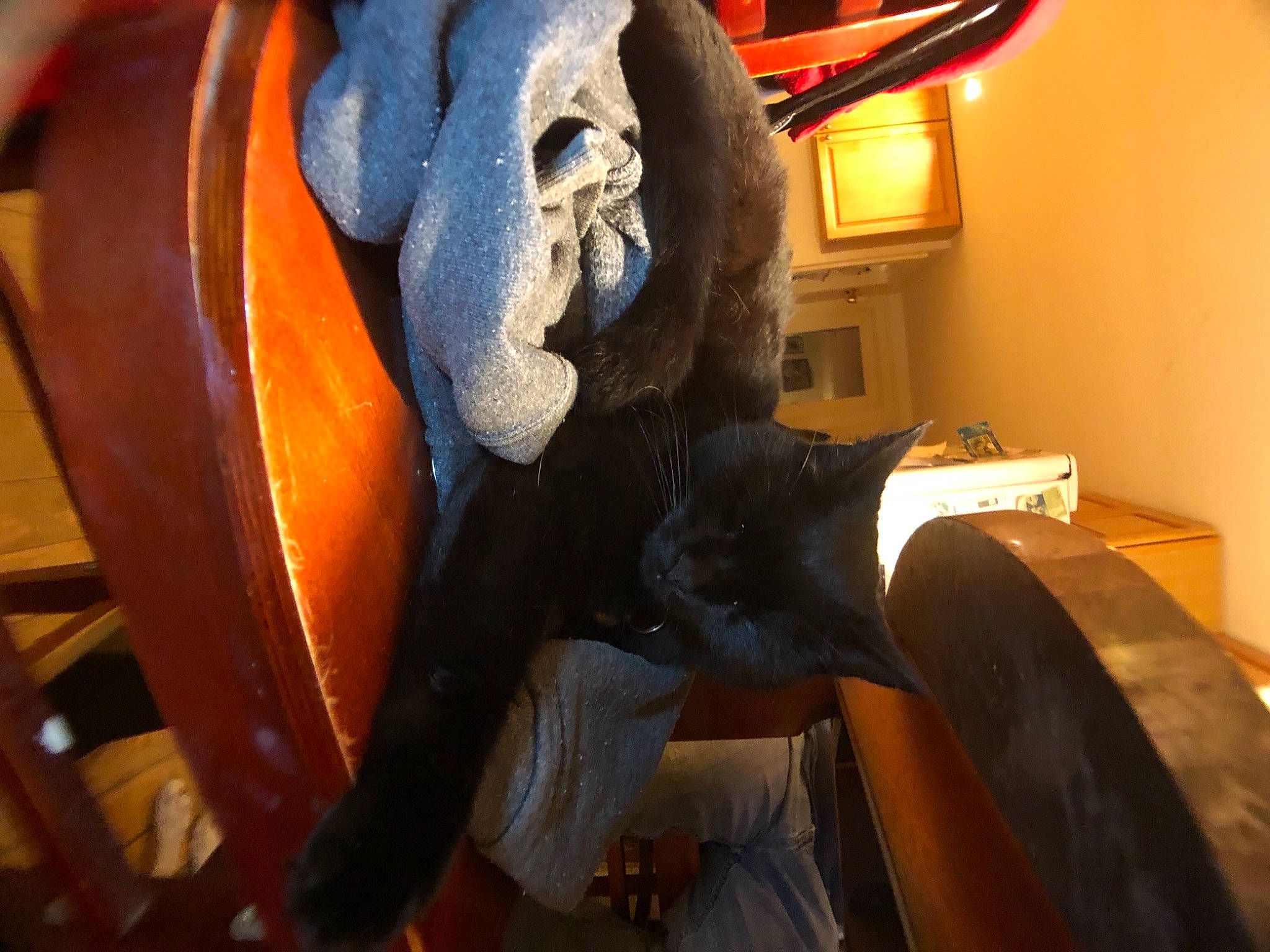 Ebony joined the competition — help win amazing prizes! art, sculpture