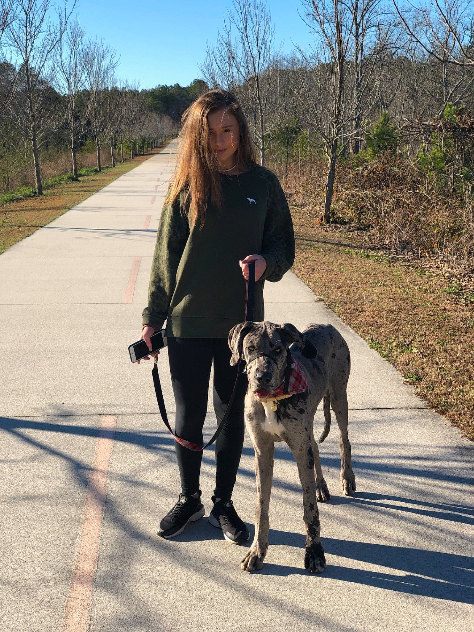 Bella is registered to the contest to win money with this photo: adventure, canidae, carnivore, dog, dog_breed, dog_walking, fashion_accessory, fawn, galgo_espanol, german_shorthaired_pointer, great_dane, greyhound, guard_dog, leash, lurcher, mammal, person, road, sporting_group, walking