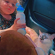 Maui is registered to the contest to win money with this photo: child, toddler, cat, pet, bottle, sippy_cup, backseat, car_interior, seatbelt, stuffed_animal, barefoot, floral_dress, sunlight, blue_cap, curious_gaze, fur, portrait, closeup, window_light, hand