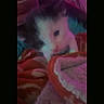 Ziggy is registered to the contest to win money with this photo: animal, black_and_white, blanket, cat, close_up, cozy, cute, furry, fuzzy, home, indoor, kitten, pet, purple_light, resting, small, soft_lighting, texture, warm, young