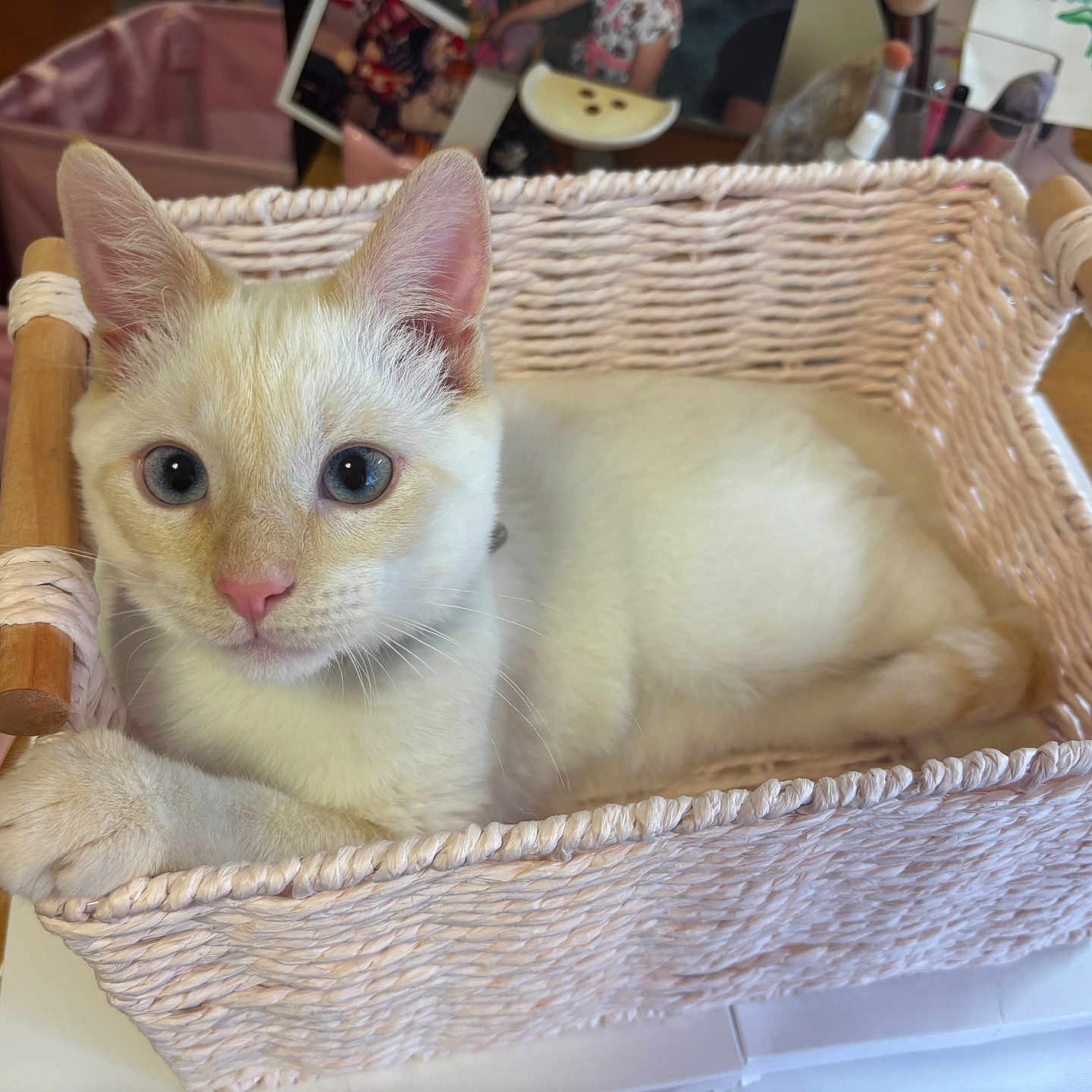 Bianco