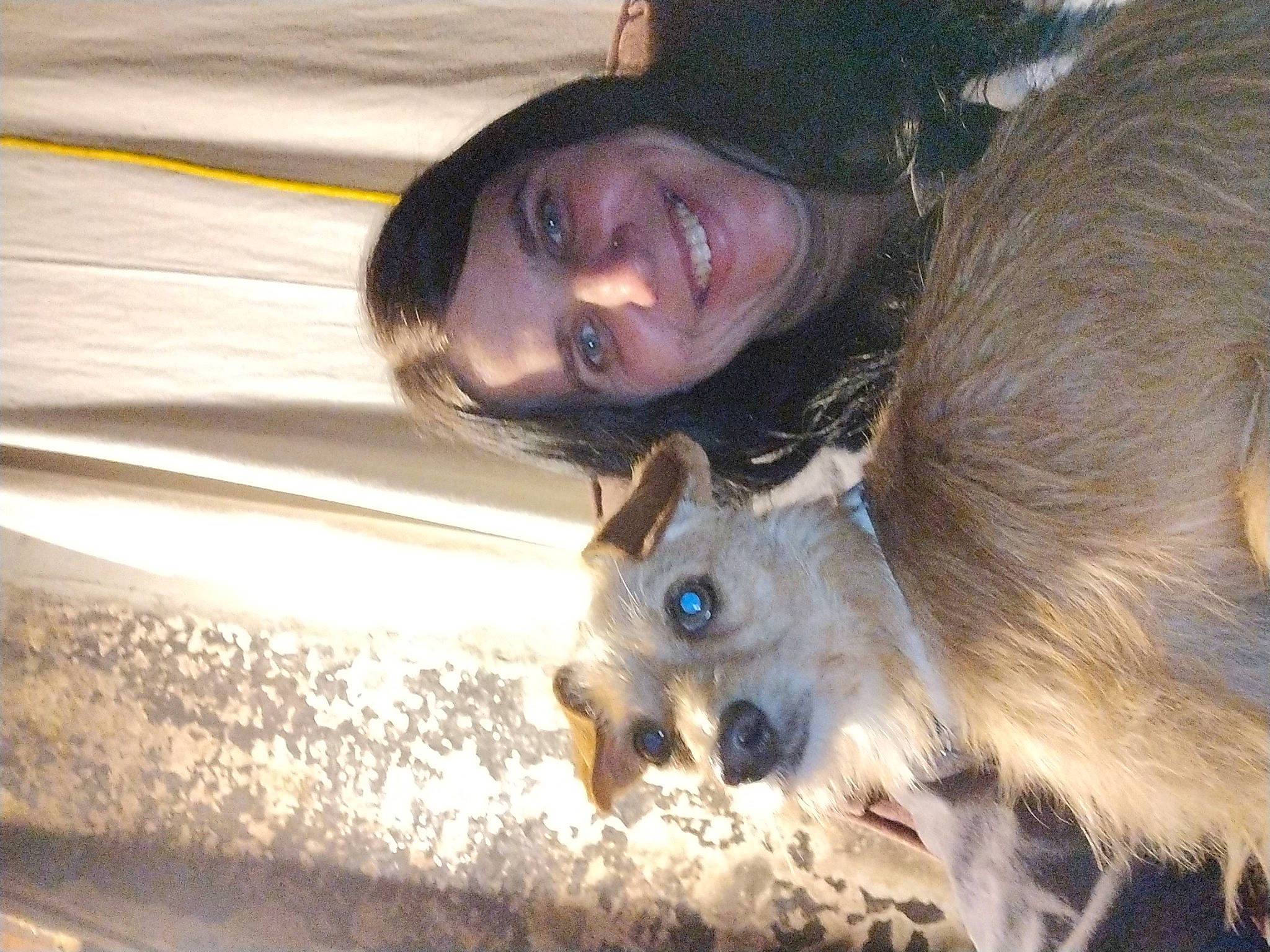 Buddy is registered to the contest to win money with this photo: canidae, carnivore, claw, comfort, companion_dog, dog_breed, ear, fawn, felidae, fur, happy, paw, small_to_medium_sized_cats, smile, snout, sporting_group, toy_dog, whiskers, wood, working_animal