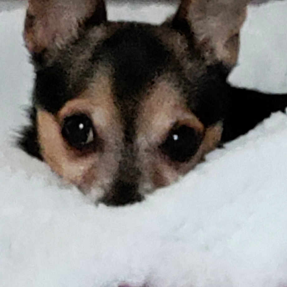 Peanut