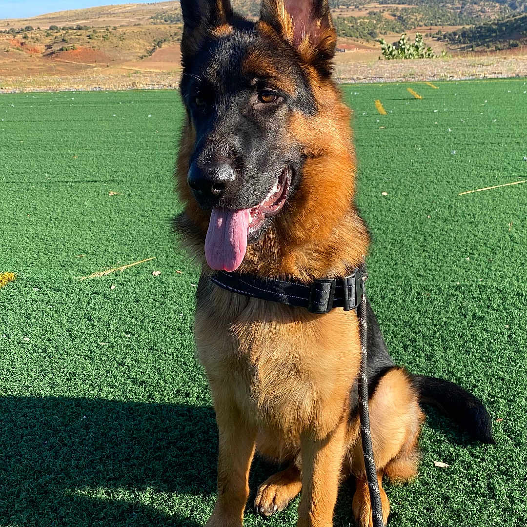 Max