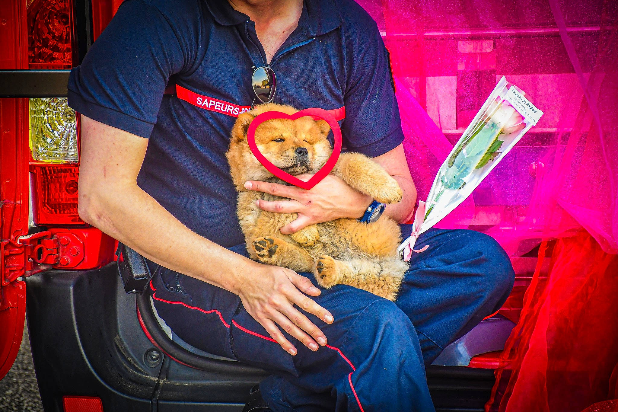 Ulka a rejoint le concours — aidez-le/la à gagner de superbes lots ! beard, canidae, carnivore, clothing, companion_dog, dog, dog_breed, eyewear, fawn, fun, human_leg, jeans, lap, shoe, sitting, sleeve, sporting_group, t_shirt, thigh, toy_dog