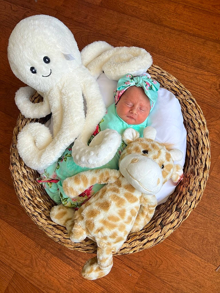 Ella Rae joined the competition — help win amazing prizes! baby_products, baby_toddler_clothing, baby_toys, basket, child, dog_toy, felidae, fur, headwear, linens, ornament, pattern, person, plush, room, stuffed_toy, teddy_bear, thread, toy, vertebrate
