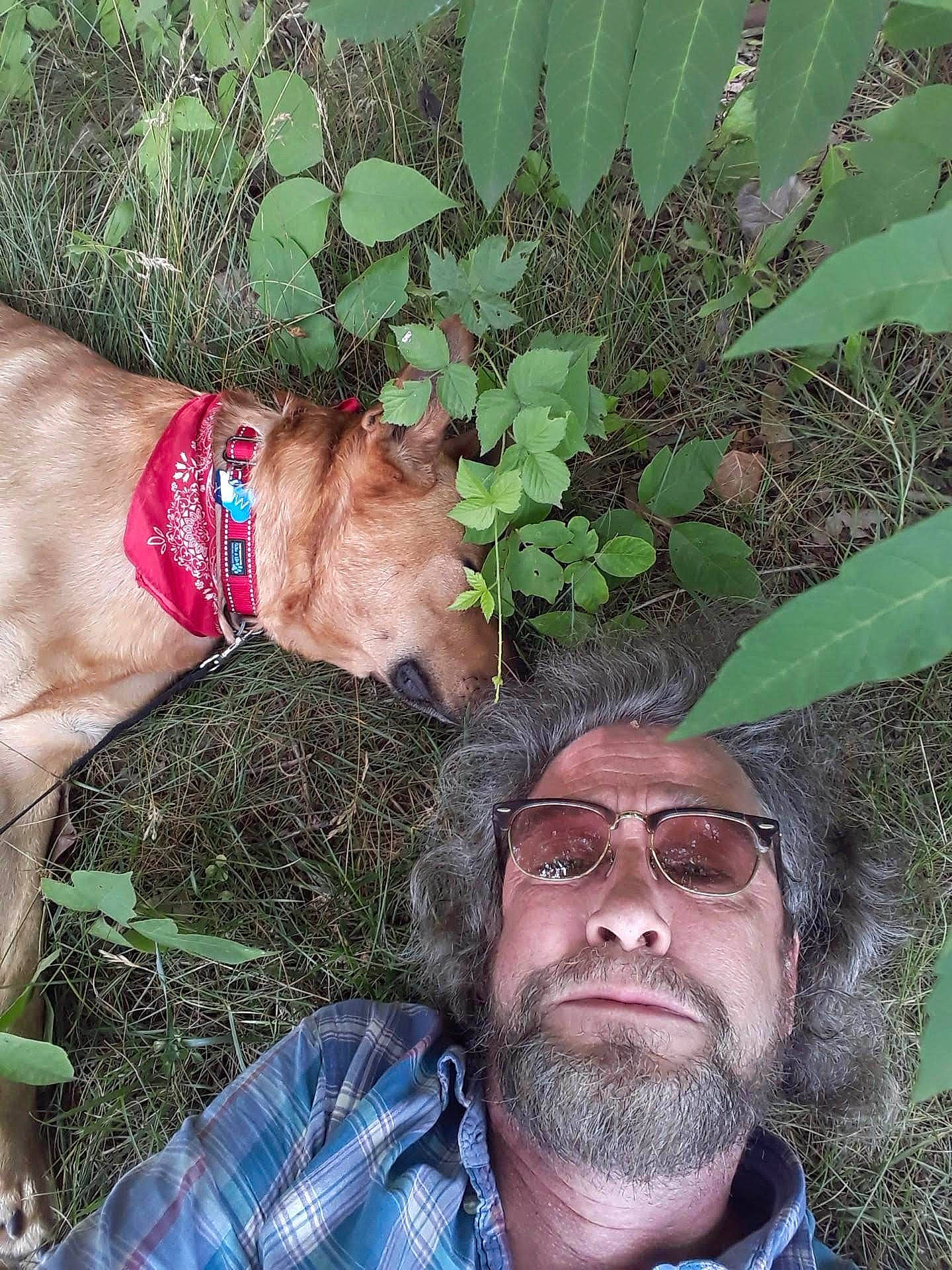 Wiley joined the competition — help win amazing prizes! annual_plant, beard, carnivore, companion_dog, dog, dog_breed, fawn, gesture, grass, grass_family, groundcover, happy, mammal, organ, people_in_nature, photograph, plaid, plant, sporting_group, vertebrate