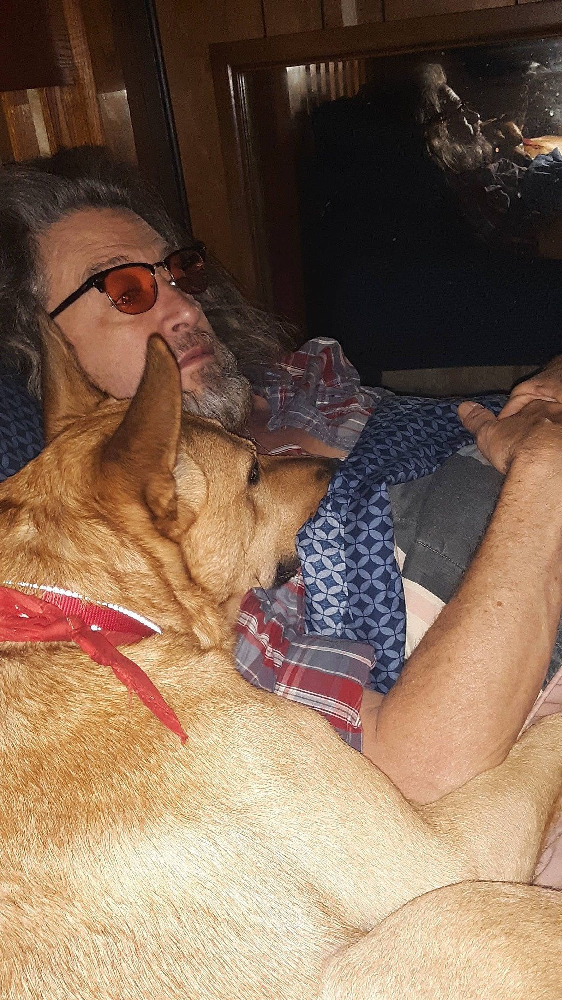 Wiley joined the competition — help win amazing prizes! carnivore, comfort, companion_dog, dog, dog_breed, eyewear, fawn, felidae, glasses, human_leg, lap, linens, skin, snout, sunglasses, thigh, toy_dog, vision_care, whiskers, wrinkle