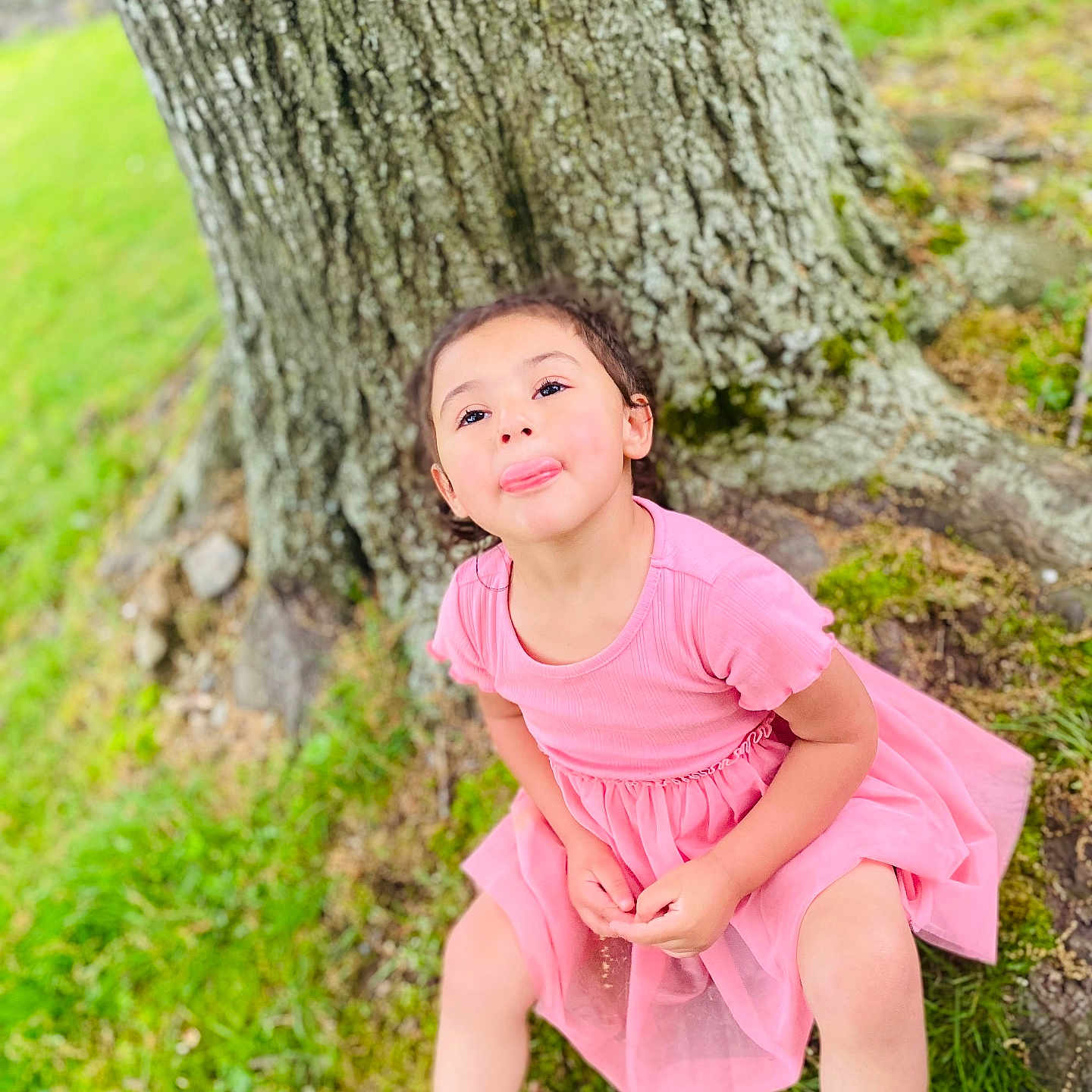 Gabriella is registered to the contest to win money with this photo: child, clothing, dress, face, female, girl, grass, head, nature, outdoors, park, person, photography, plant, portrait, rock, sitting, skirt, tree, vegetation