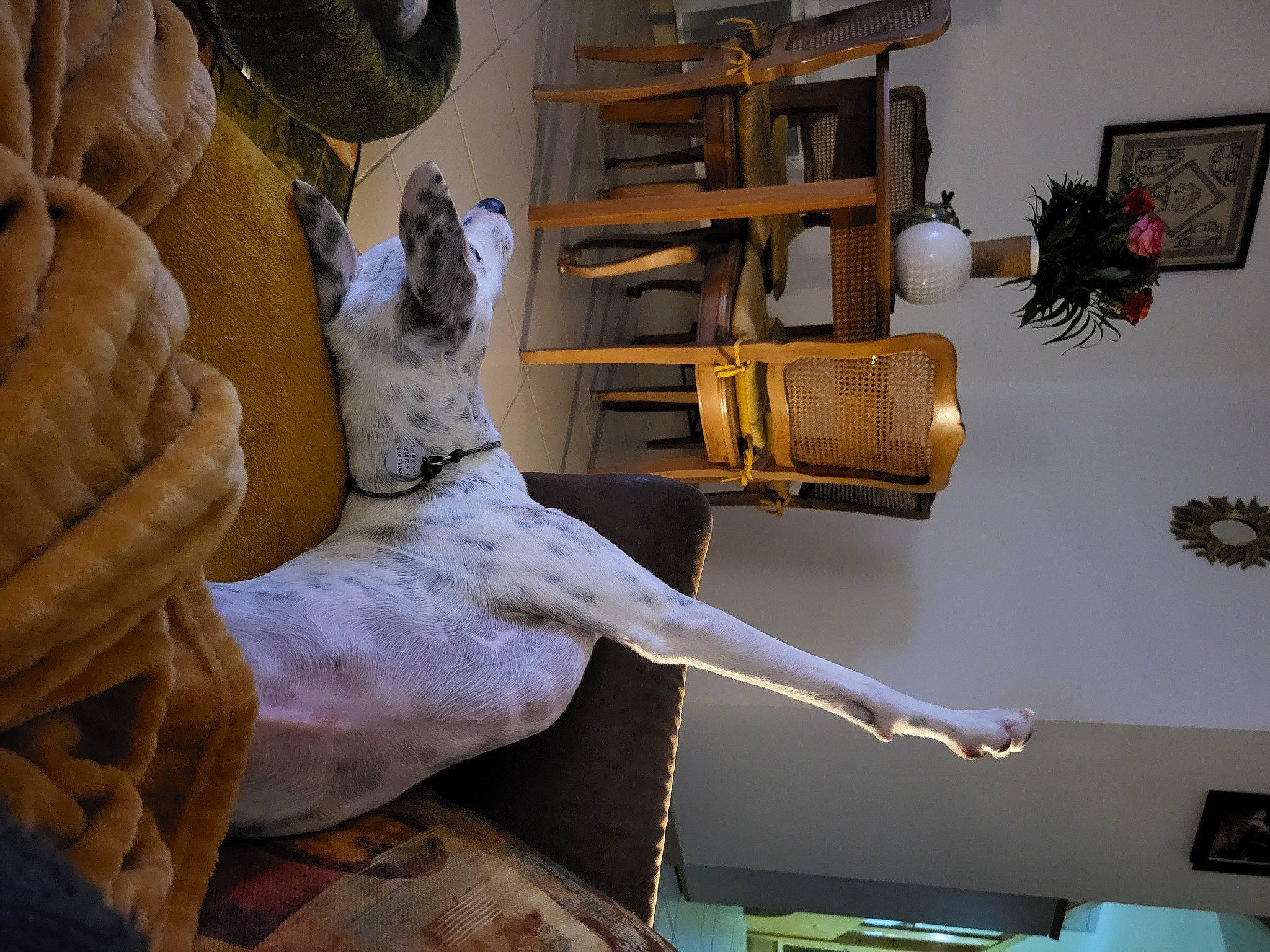 Kéko participe au concours pour gagner de l'argent avec cette photo : art, artifact, bronze_sculpture, carving, classical_sculpture, felidae, fur, houseplant, human_leg, metal, monument, picture_frame, plant, room, sculpture, statue, table, tourist_attraction, visual_arts, wood