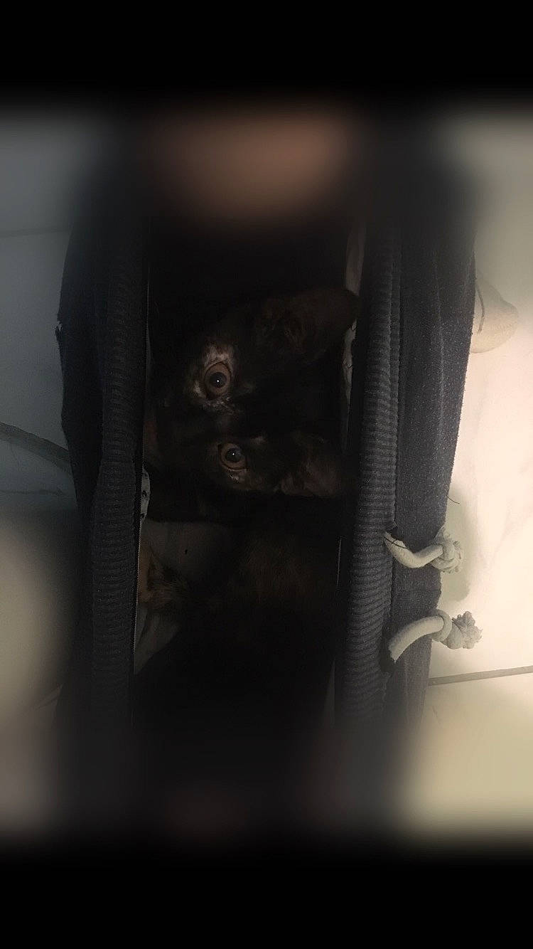 Shiva a rejoint le concours — aidez-le/la à gagner de superbes lots ! auto_part, automotive_design, automotive_exterior, automotive_lighting, automotive_tire, darkness, family_car, flash_photography, gesture, grey, human_leg, monochrome_photography, personal_luxury_car, personal_protective_equipment, rim, steering_part, steering_wheel, tints_and_shades, vehicle_door, windshield