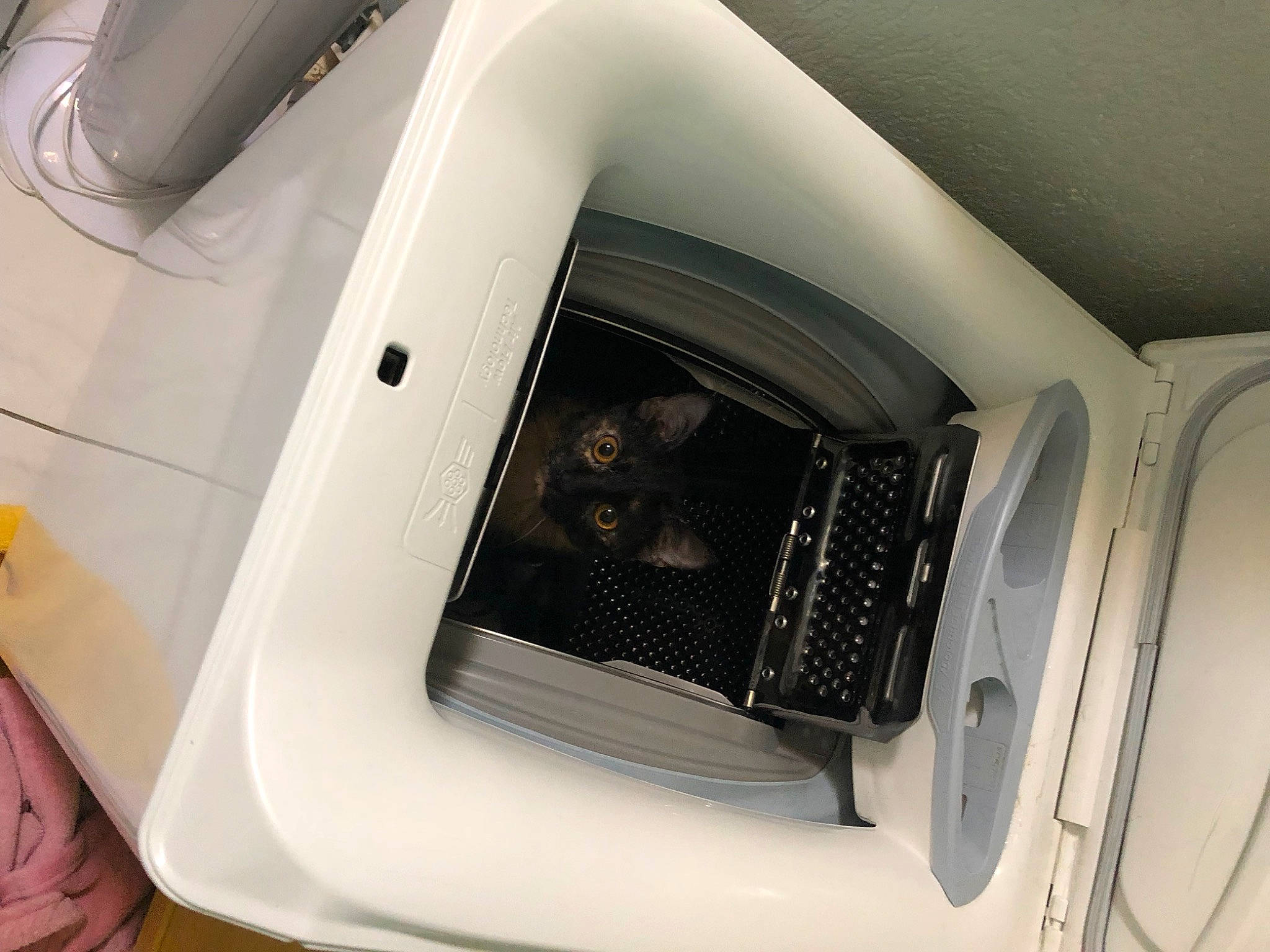 Shiva participe au concours pour gagner de l'argent avec cette photo : auto_part, automotive_design, automotive_exterior, comfort, gadget, gas, machine, office_equipment, output_device, room