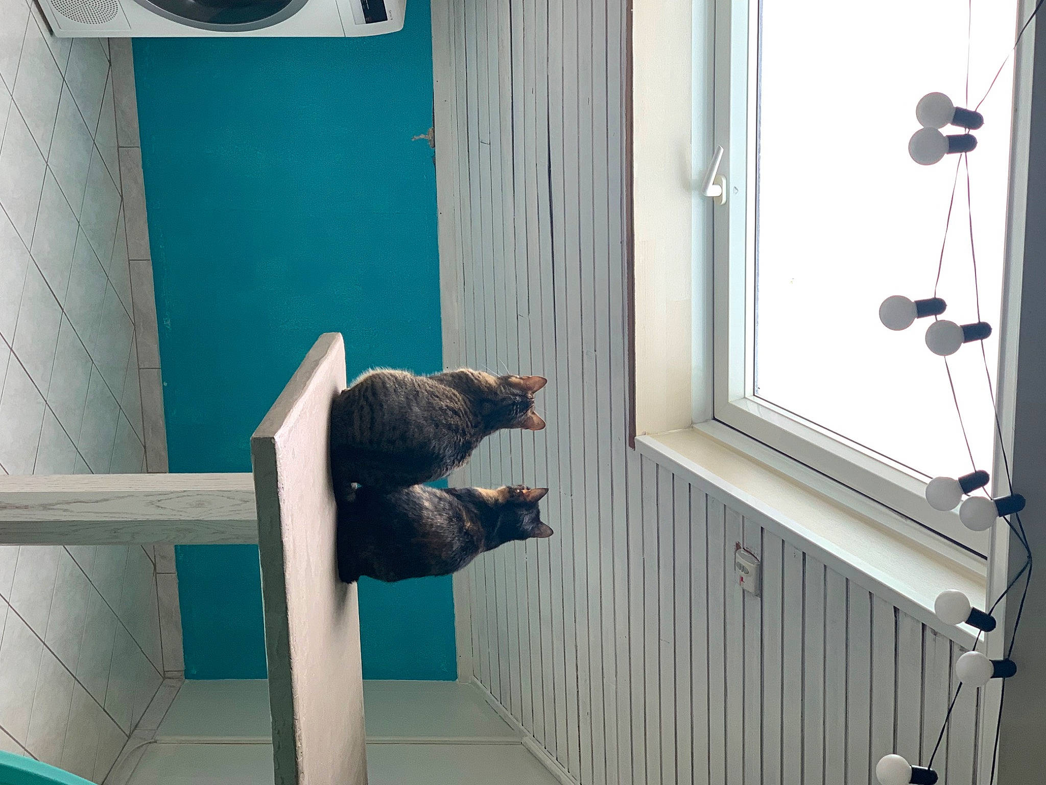 Kali a rejoint le concours — aidez-le/la à gagner de superbes lots ! building, ceiling, composite_material, curtain, daylighting, electric_blue, fixture, glass, handrail, interior_design, line, metal, room, sash_window, stairs, textile, window, window_covering, window_treatment, wood