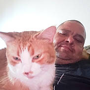 Peaches is registered to the contest to win money with this photo: blurred, casual, cat, closeup, companion, couch, domestic, facial_expression, feline, ginger_cat, home, indoor, man, person, pet, portrait, relaxed, resting, selfie, white_fur