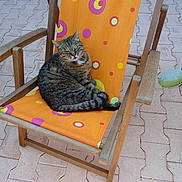 Tiny participe au concours pour gagner de l'argent avec cette photo :